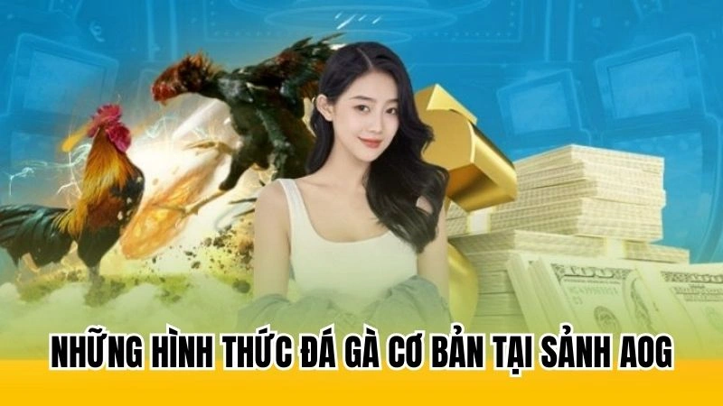 Những hình thức đá gà cơ bản tại sảnh AOG