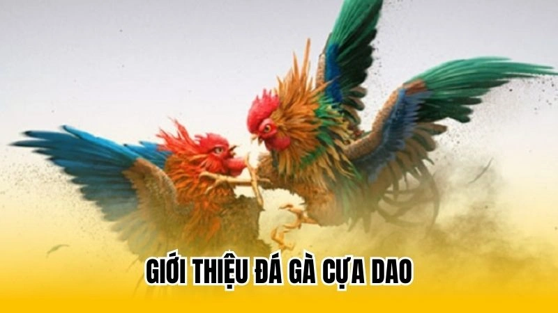 Giới thiệu đá gà cựa dao