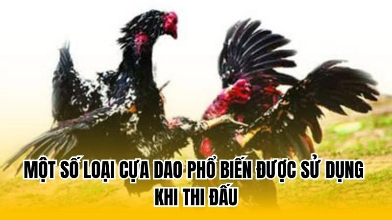 Một số loại cựa dao phổ biến được sử dụng khi thi đấu