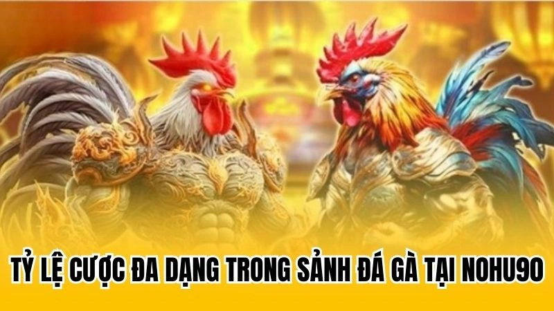 Tỷ lệ cược đa dạng trong sảnh đá gà tại nohu90