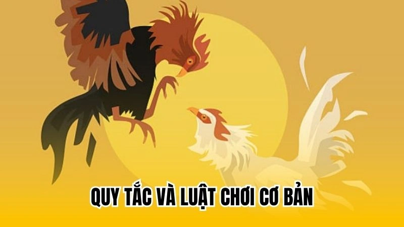 Quy tắc và luật chơi cơ bản