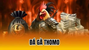 đá gà thomo