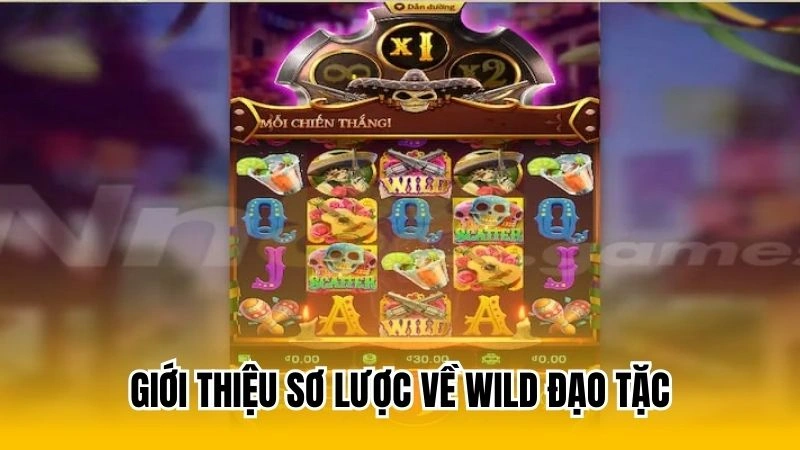 Giới thiệu sơ lược về Wild Đạo tặc