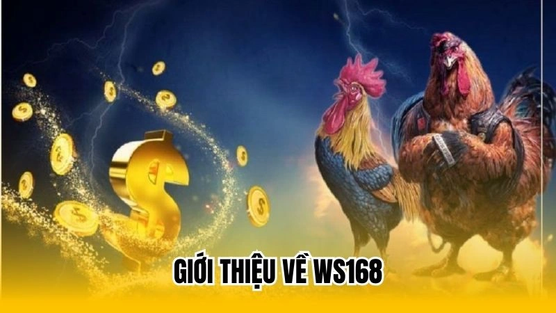 Giới thiệu về WS168